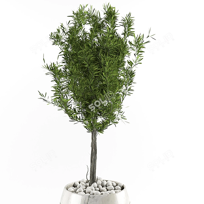 Indoor Oasis: 3D Plant Collection 3D model image 4