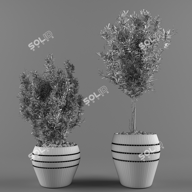 Indoor Oasis: 3D Plant Collection 3D model image 5