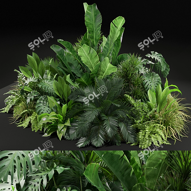 Variety of Plants: Collection 445 3D model image 1