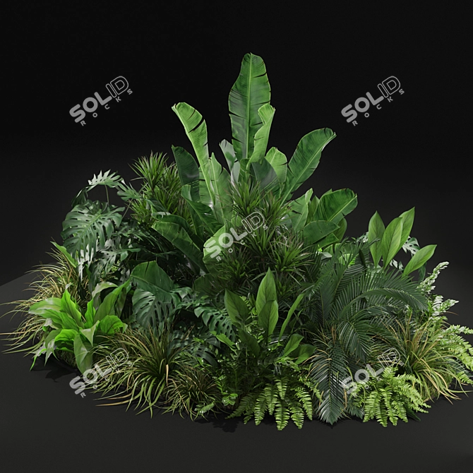 Variety of Plants: Collection 445 3D model image 2