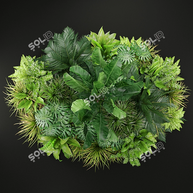 Variety of Plants: Collection 445 3D model image 3