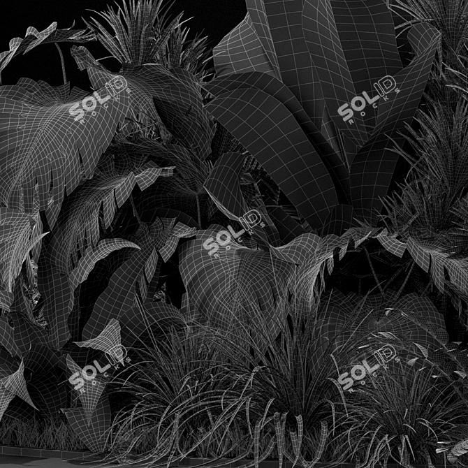 Variety of Plants: Collection 445 3D model image 5