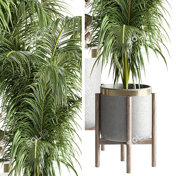 Tropical Green Indoor Plant 3D model image 2