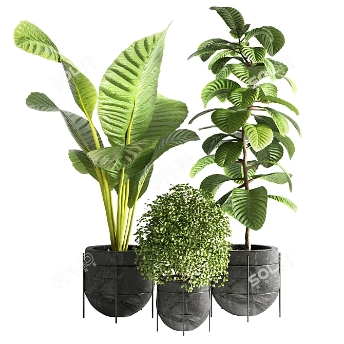 Indoor Greenery 14 3D model image 1