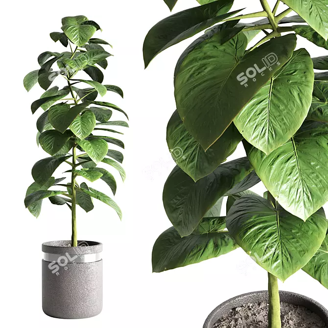 Sleek Indoor Plant Decoration 3D model image 1