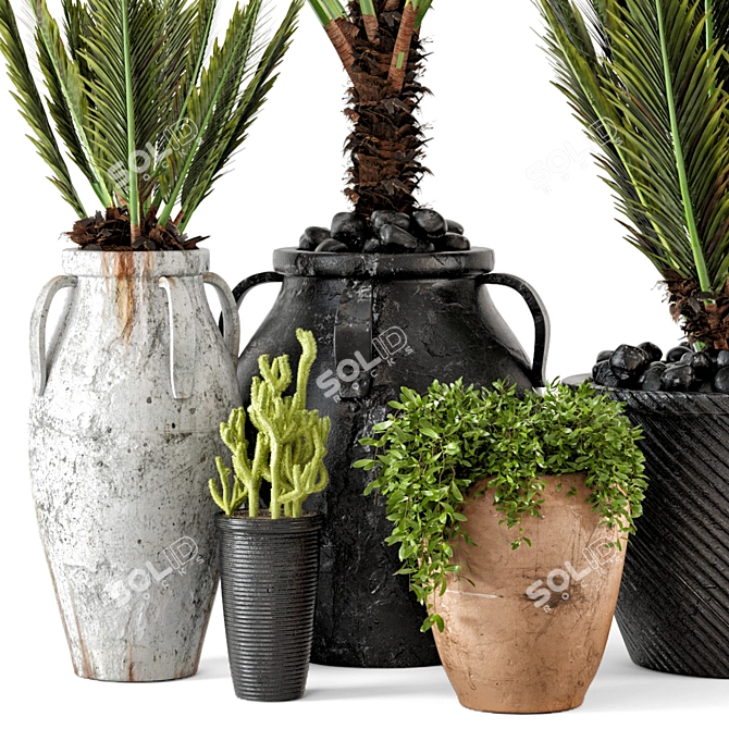 Rustic Concrete Pot with Outdoor Plants - Set of 50 3D model image 3