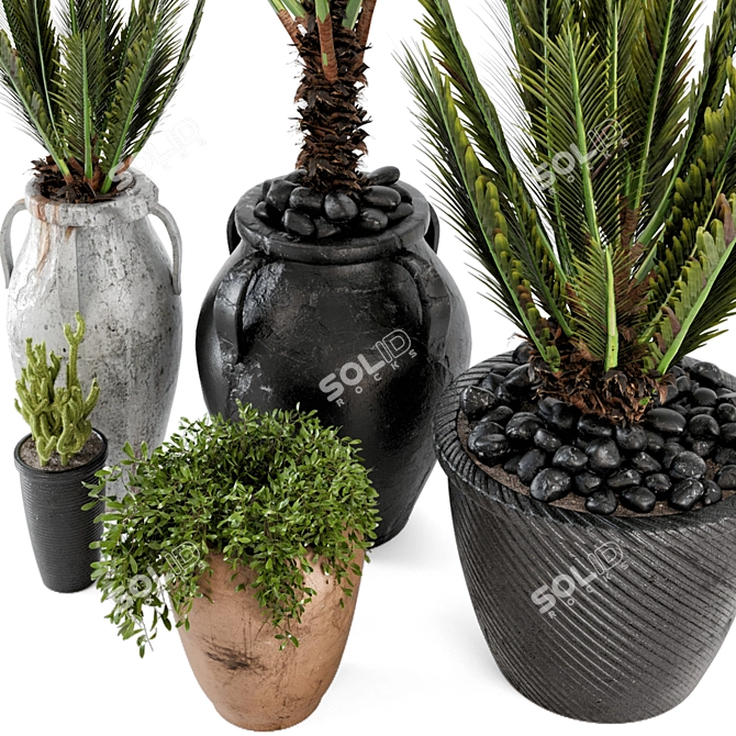 Rustic Concrete Pot with Outdoor Plants - Set of 50 3D model image 4