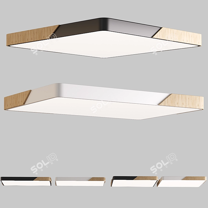 Modern Ceiling Lamp: Black or White, 60 x 60 cm, 67 x 45 cm 3D model image 1