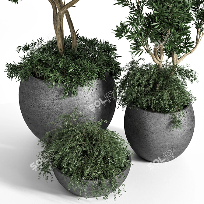 Exquisite Outdoor Plant Tree 3D model image 2