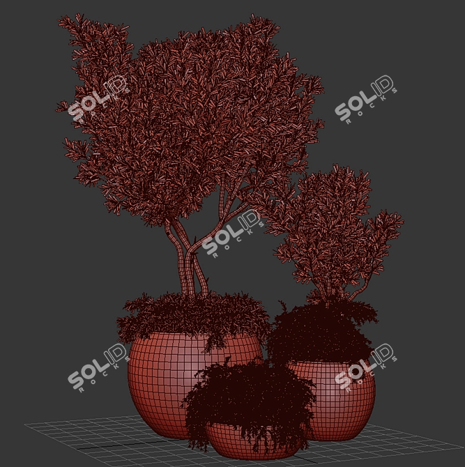 Exquisite Outdoor Plant Tree 3D model image 4