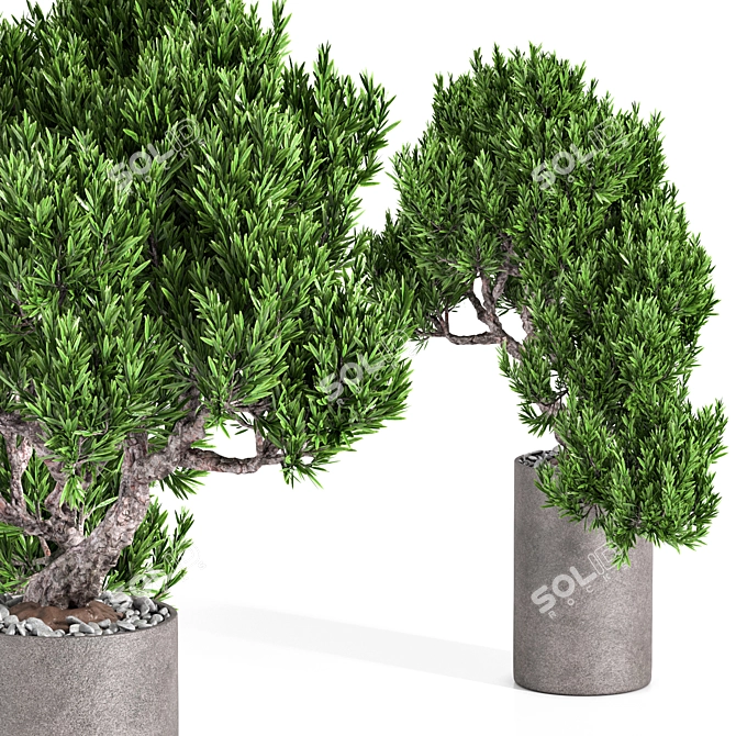 Elegant Indoor Plant 04 3D model image 3