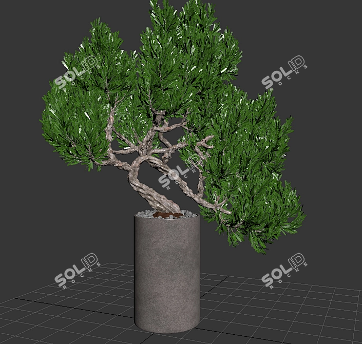 Elegant Indoor Plant 04 3D model image 5