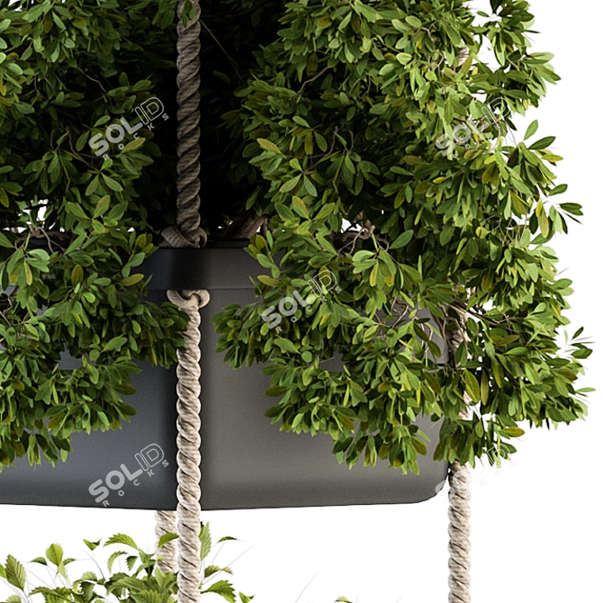 Rustic Hanging Pot with Rope - Perfect for Indoor Plants 3D model image 3