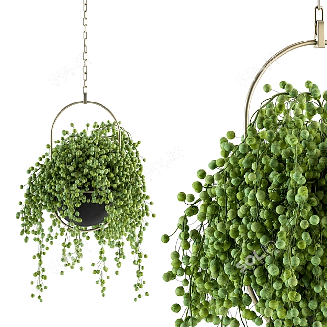 GreenLife Hanging Box - Indoor Set 3D model image 2