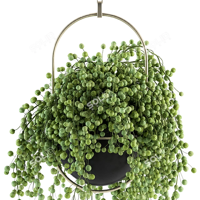 GreenLife Hanging Box - Indoor Set 3D model image 3