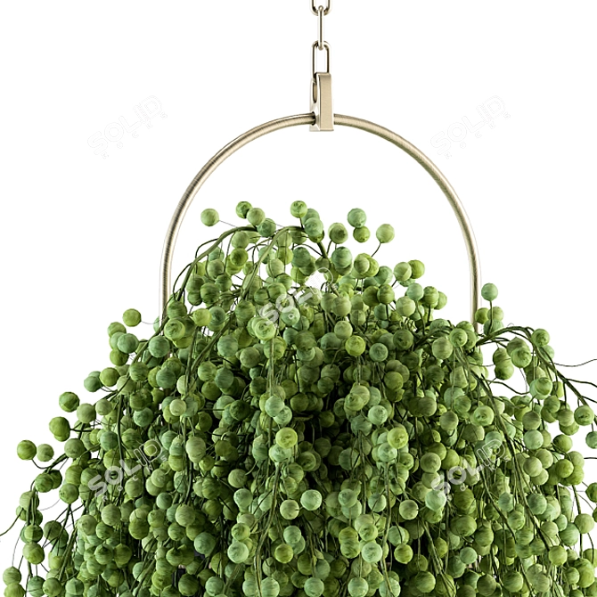 GreenLife Hanging Box - Indoor Set 3D model image 4