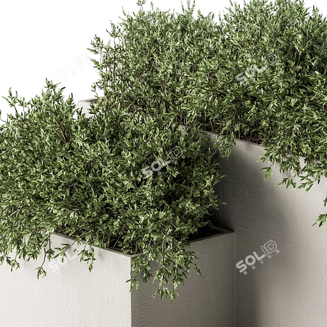 Concrete Box Outdoor Plants - Set 156 3D model image 2