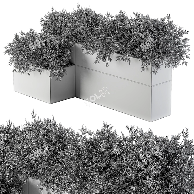 Concrete Box Outdoor Plants - Set 156 3D model image 4