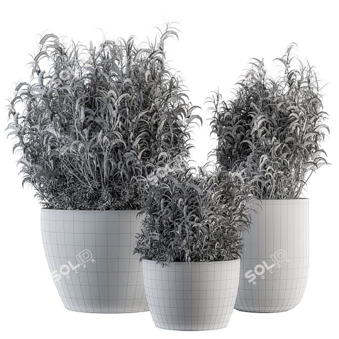 Lush miscanthus, outdoor set 3D model image 5