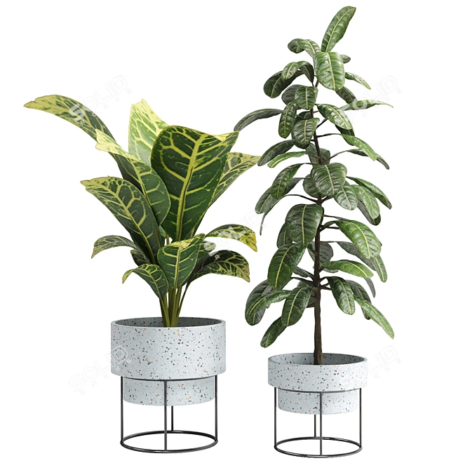 16-Inch Indoor Plant: 3D Model & Export Files 3D model image 1