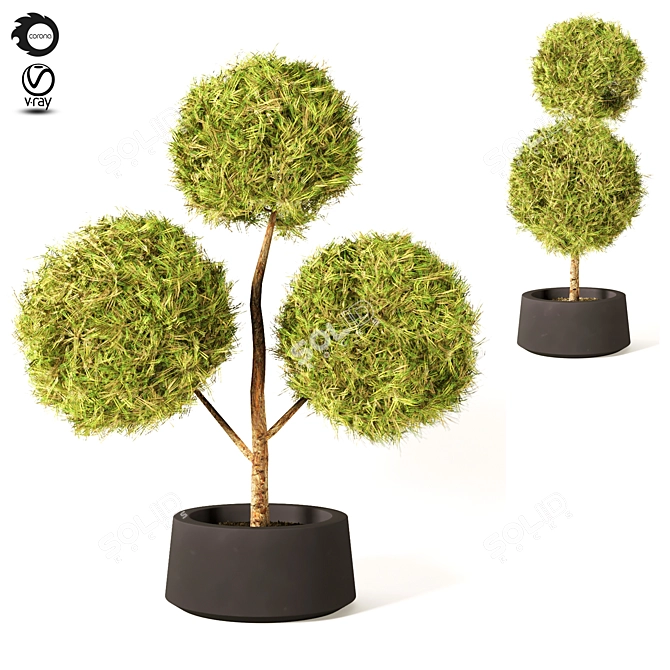 Elegant Topiary Plant: 135cm 3D model image 1