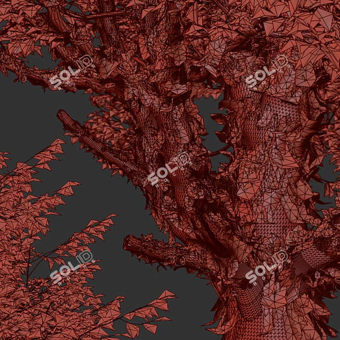 Exquisite Paperbark Maple Tree Pair 3D model image 6