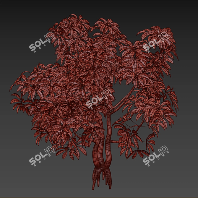 Plumeria 3D Models: High Quality, Clean Topology 3D model image 3