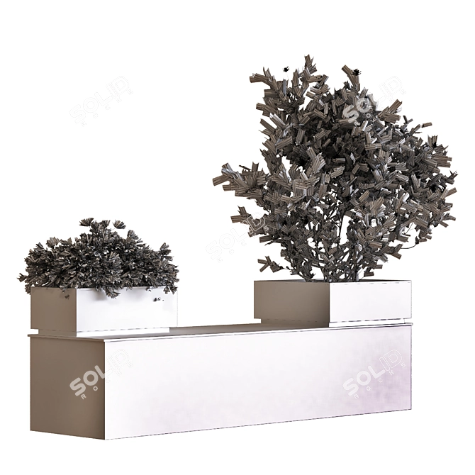 Modern Boxed Tree Set 032 3D model image 2