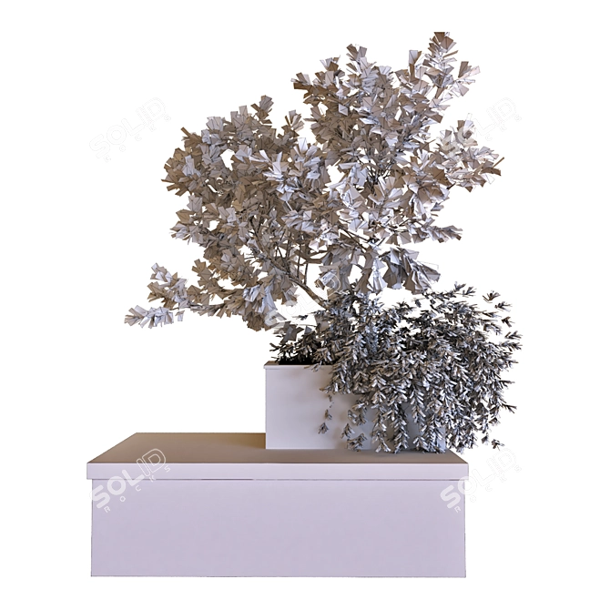 Nature's Haven Tree Box Set 3D model image 1