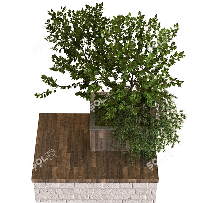 Nature's Haven Tree Box Set 3D model image 3