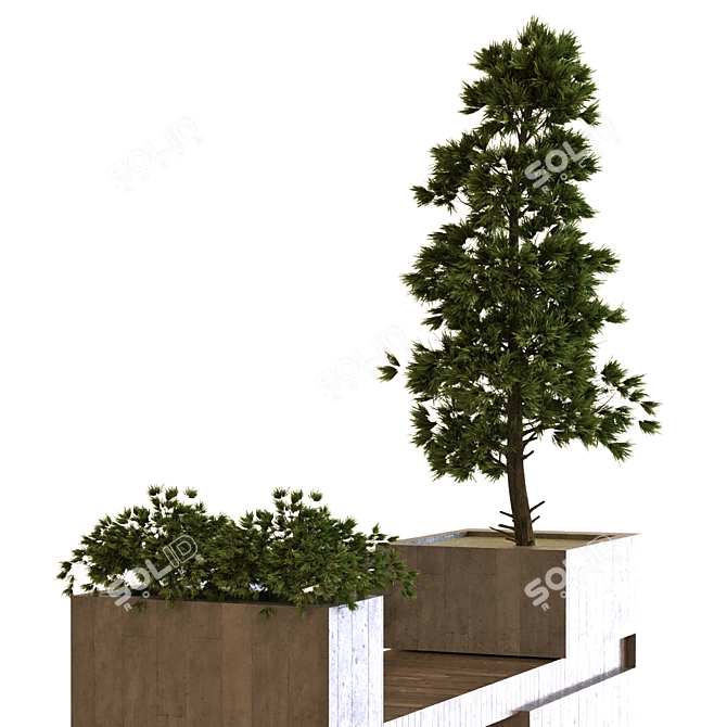Greenery in a Box - Set 035 3D model image 3