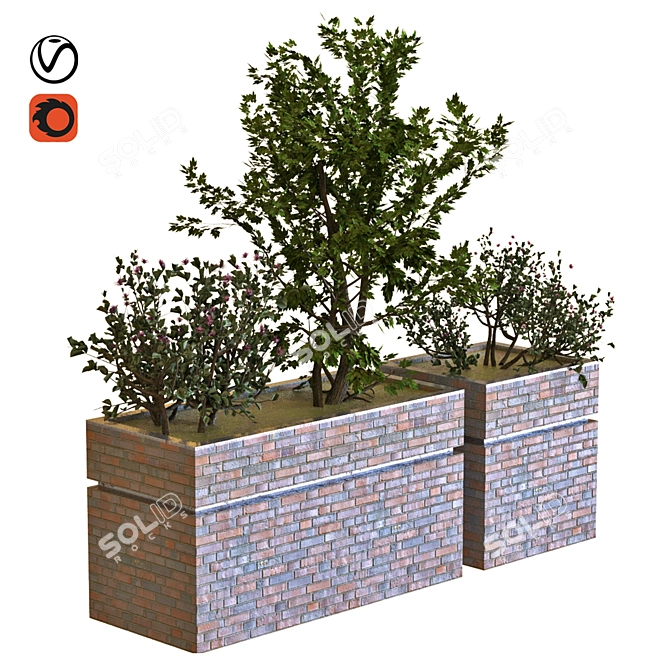 Versatile Tree Box Set 034 3D model image 1