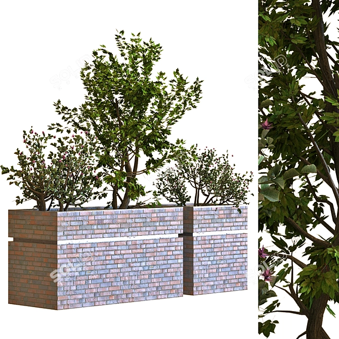 Versatile Tree Box Set 034 3D model image 2