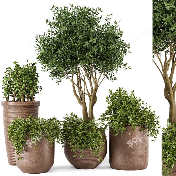 Rustic Outdoor Plants Set 3D model image 1