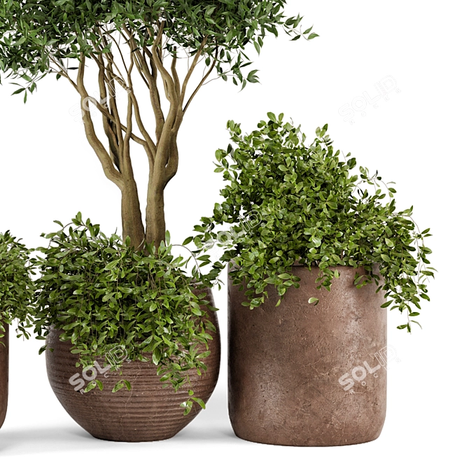 Rustic Outdoor Plants Set 3D model image 4