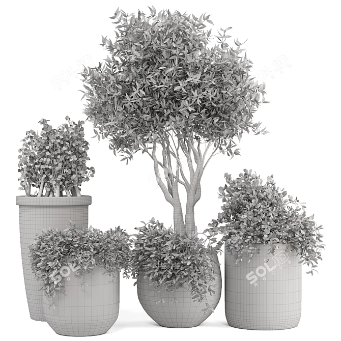 Rustic Outdoor Plants Set 3D model image 5