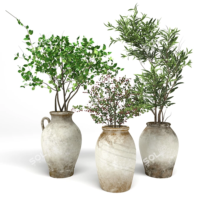Indoor Plant Collection: 3DSMax Compatible 3D model image 1