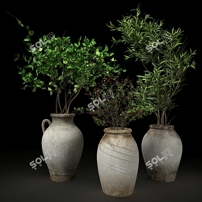 Indoor Plant Collection: 3DSMax Compatible 3D model image 2