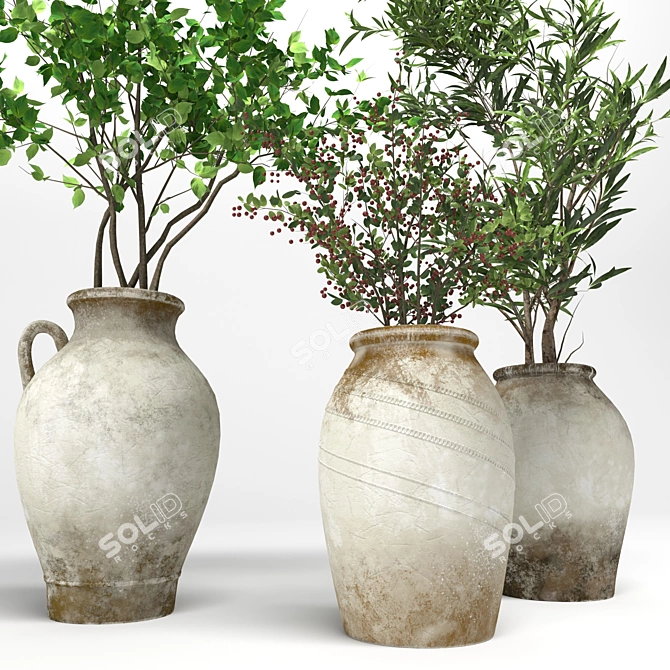 Indoor Plant Collection: 3DSMax Compatible 3D model image 4