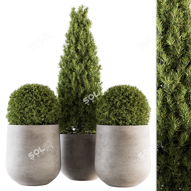 Stylish Outdoor Plants - Set 143 3D model image 1