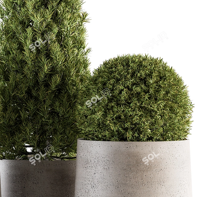 Stylish Outdoor Plants - Set 143 3D model image 2