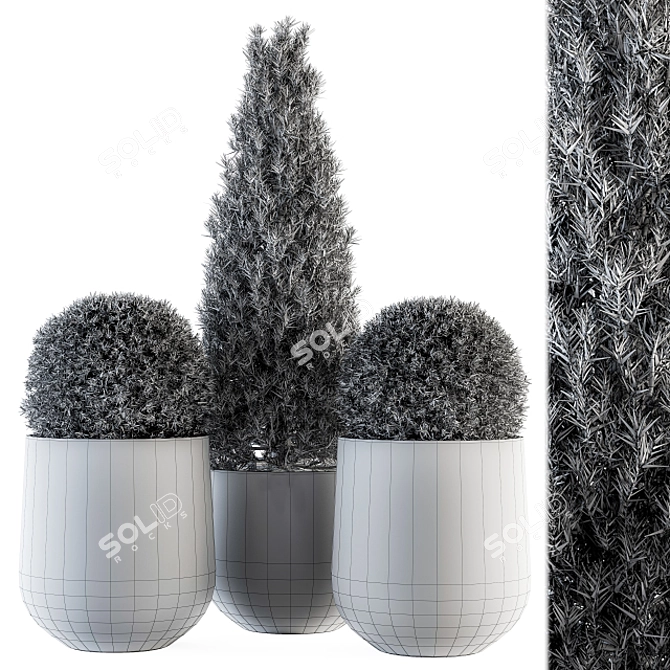 Stylish Outdoor Plants - Set 143 3D model image 4