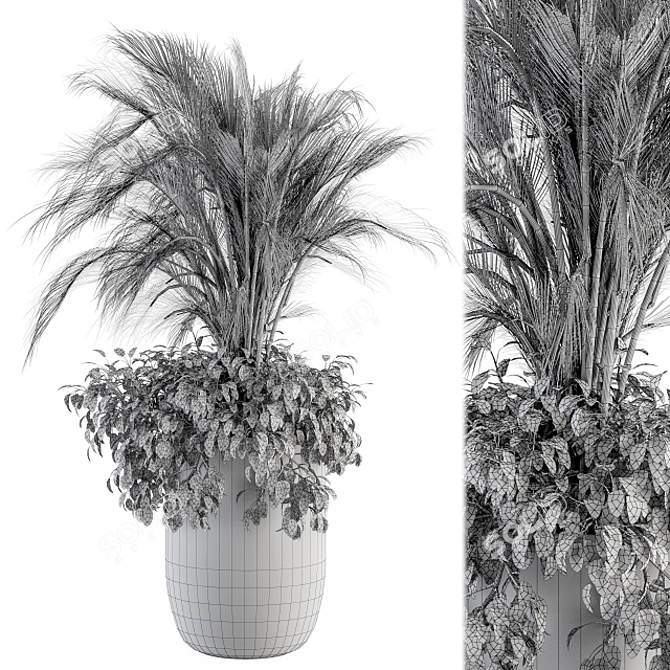 Exotic Indoor Plant Set 162 3D model image 5