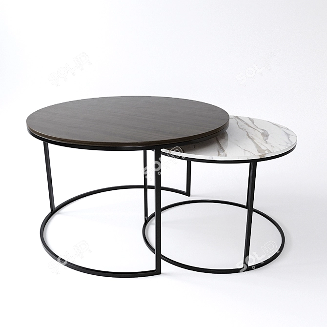 Modern Design Twin Coffee Tables 3D model image 1