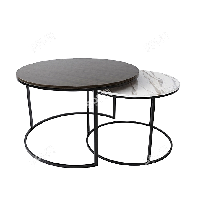Modern Design Twin Coffee Tables 3D model image 2
