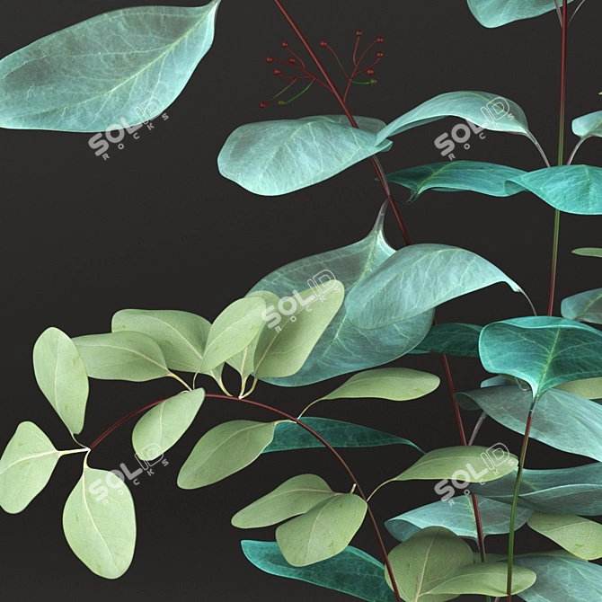 Elegant Eucalyptus Vase Bouquet 3D model image 4