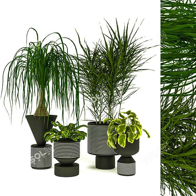 Green Oasis: Indoor Plants Set 3D model image 1