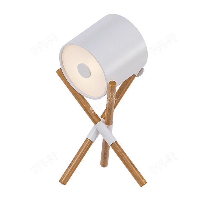 Scandinavian Style Wooden Tripod Lamp 3D model image 1