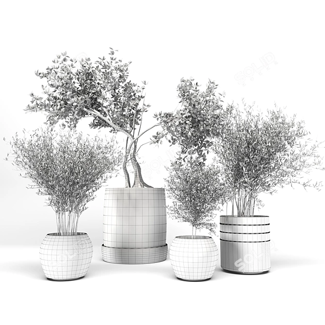 Decorative Indoor Plant Collection 3D model image 5