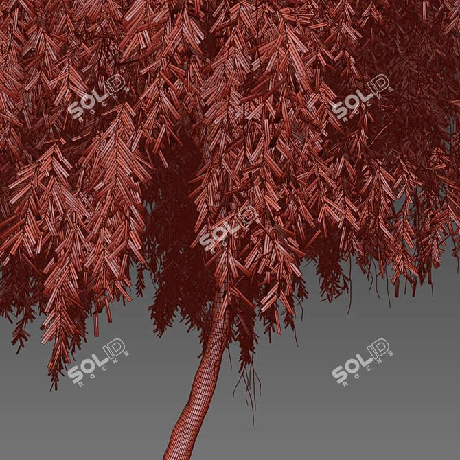 Graceful Weeping Willow Tree 3D model image 5